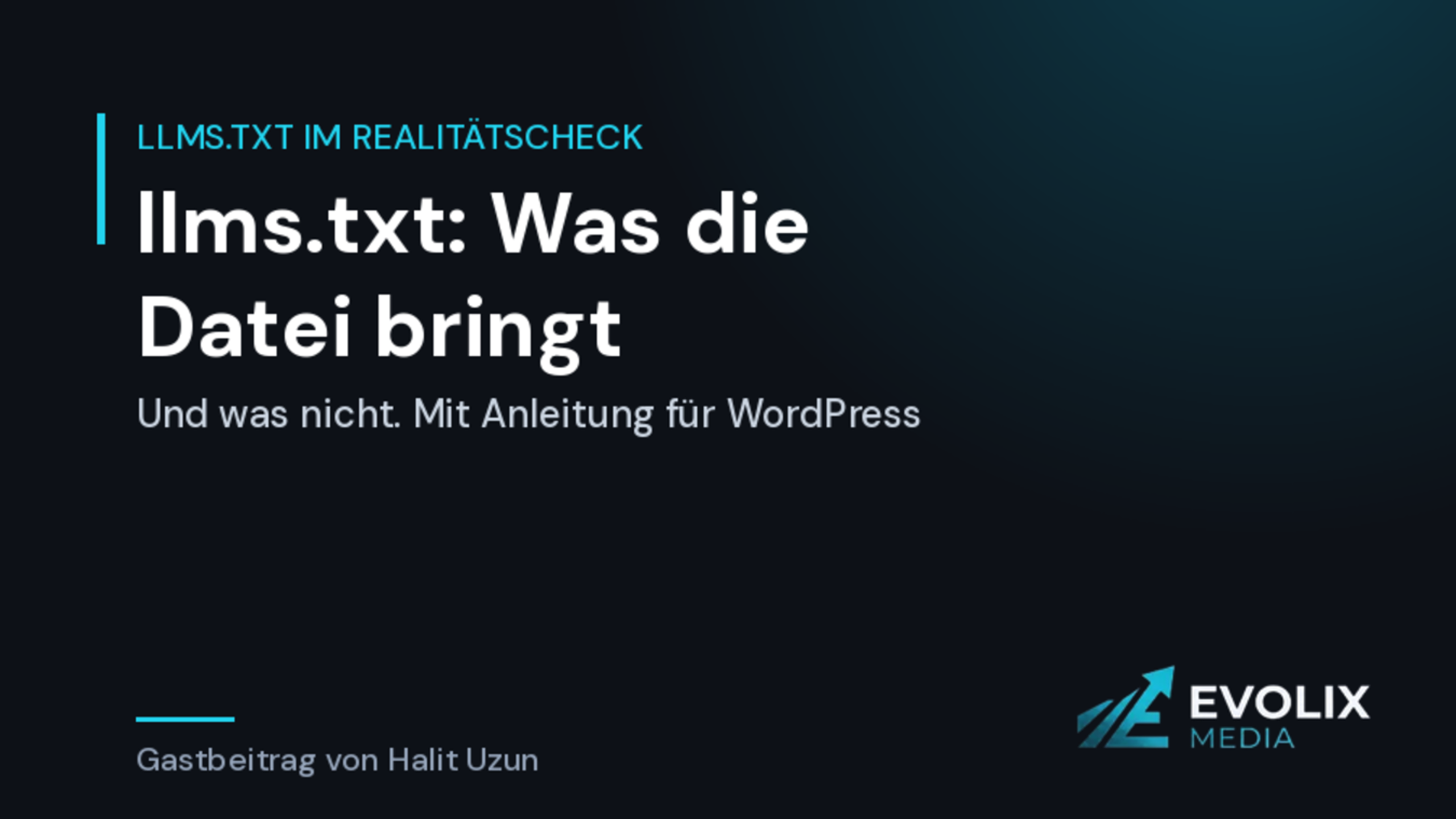llms.txt - was die Datei bringt